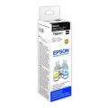 Epson Wkład atramentowy czarny (C13T66414A / T6641)